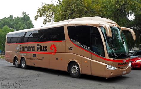 primera plus bus line mexico